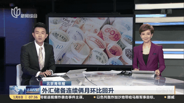 外匯投資;外匯投資實戰策略與匯率動態指南