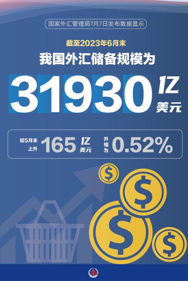 外匯準備(全球外匯儲備趨勢解析與戰略布局新視角)