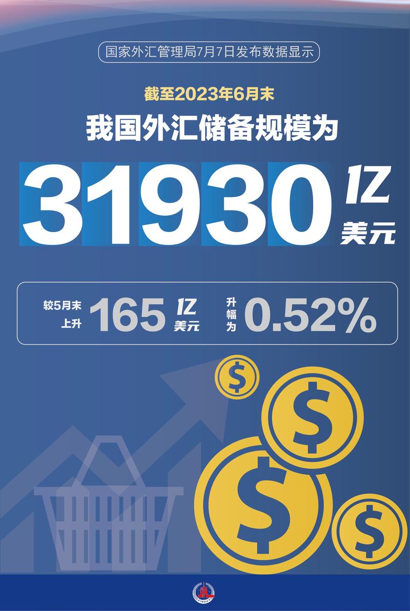 外匯準備(全球外匯儲備趨勢解析與戰略布局新視角)
