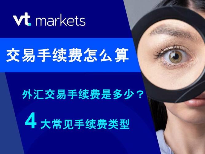 外匯帳戶手續費,外匯帳戶手續費成本控制與專業解析