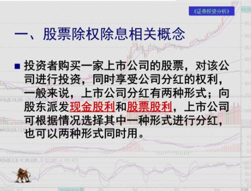 2024台股8月除息股票布局時機？高殖利率概念股TOP10〔達人清單〕