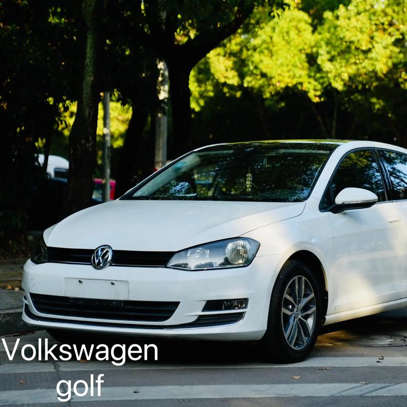 golf外匯車-高爾夫外匯車專業選購與價格解析指南