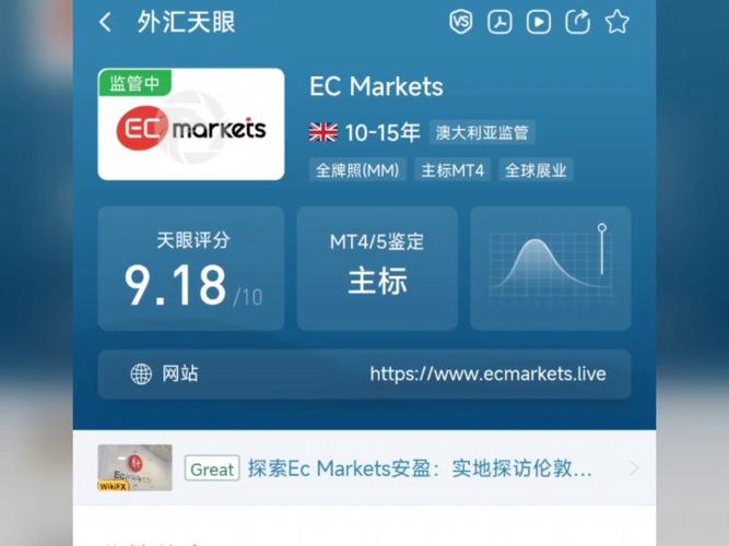 香港外匯交易平台(香港正規外匯交易平台專業指南與精選)