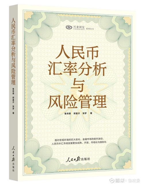 外匯保證金台新,台新外匯保證金交易策略與風險指南
