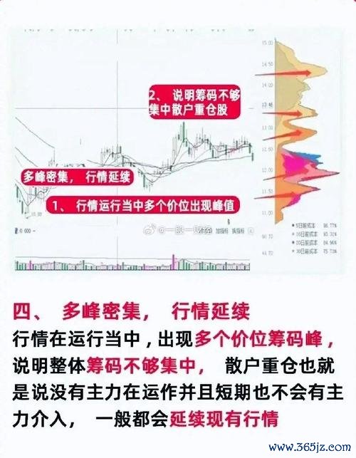外匯籌碼 外匯籌碼動向解析：市場趨勢與交易策略
