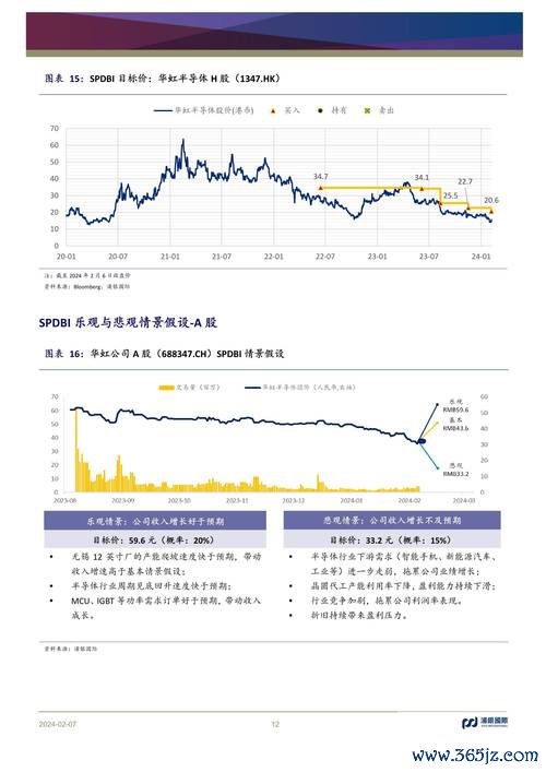 〈長科股票有哪些投資風險？2024半導體產業波動解析〔專家建議〕〉