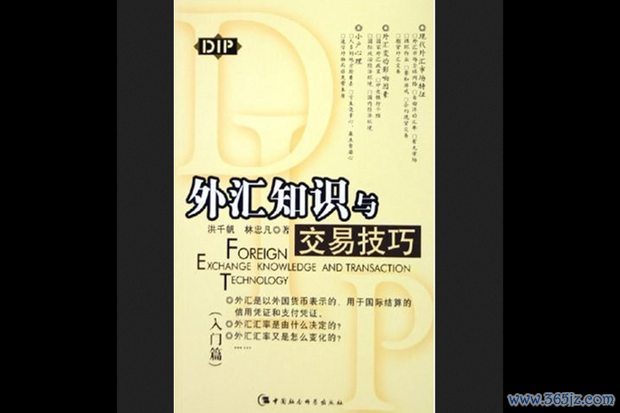 初階外匯用書,《初階外匯交易入門指南：基礎解析與實務操作》
