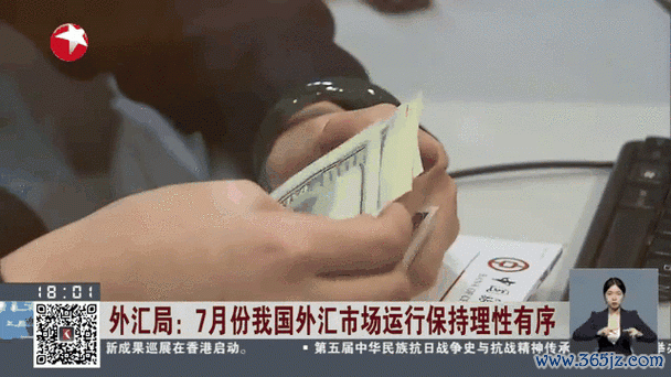530i外匯-《深度解析530i外匯市場動態與實戰投資策略》
