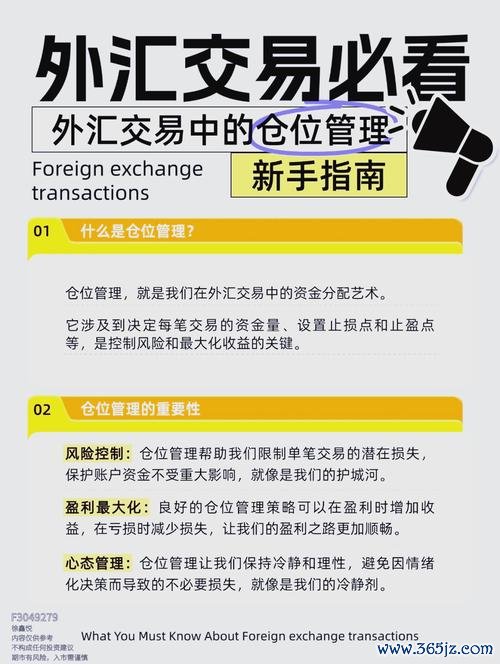 外匯交易入門;外匯交易入門：新手必學基礎知識與策略解析