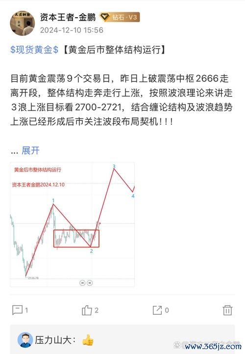 w213外匯W213外匯市場趨勢深度分析與投資策略指南