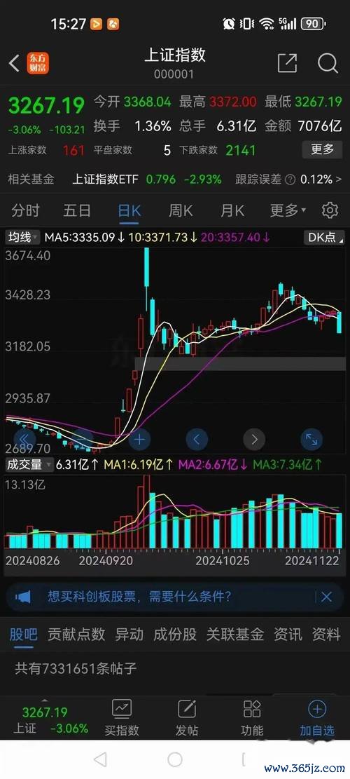 今天股市大盤大跌後何去何從？政策托底+技術面超跌反彈機會2025權威機構觀點