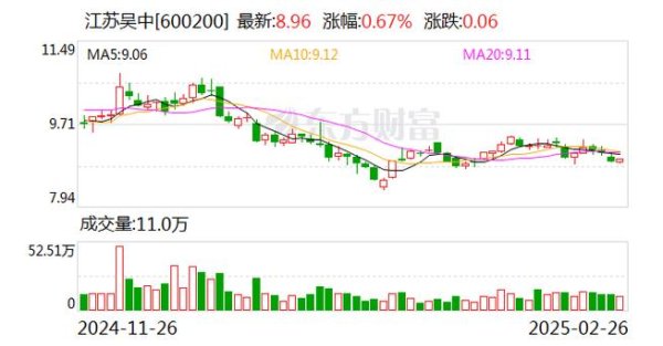 佳和股票立案风波与退市预警：6.8亿资金占用追踪〔证监会数据披露〕