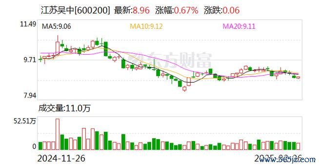 佳和股票立案风波与退市预警：6.8亿资金占用追踪〔证监会数据披露〕