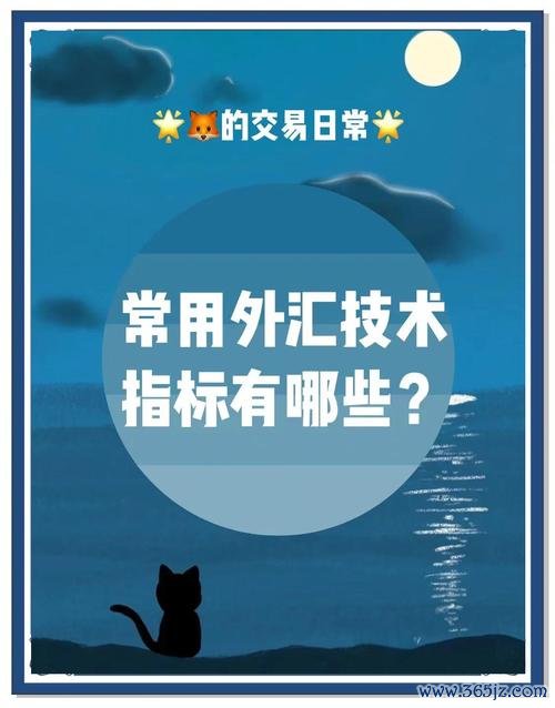 mp4外匯,MP4外匯交易技術分析與市場策略全解