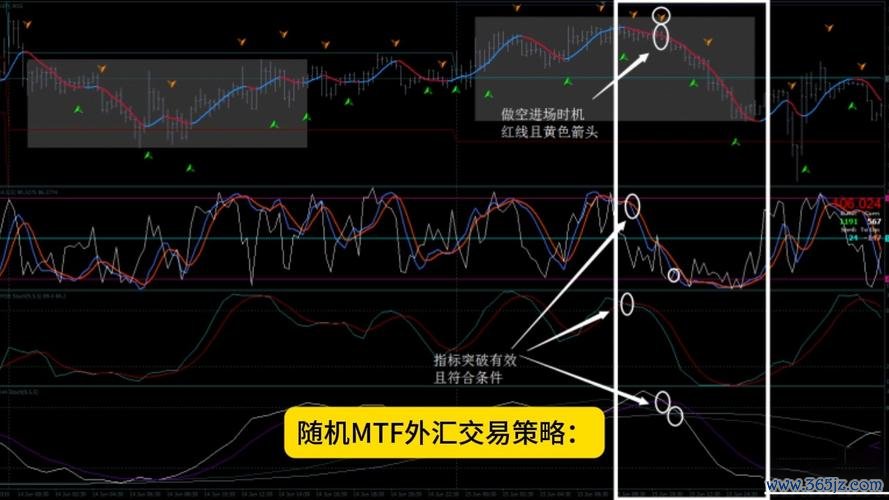 f80m3外匯—F80M3外匯交易系統解析與頂尖實戰策略