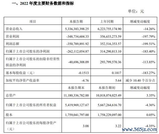 南港輪胎股票投資亮點：2024年淨利暴增2100%與房地產收益解析財報數據拆解