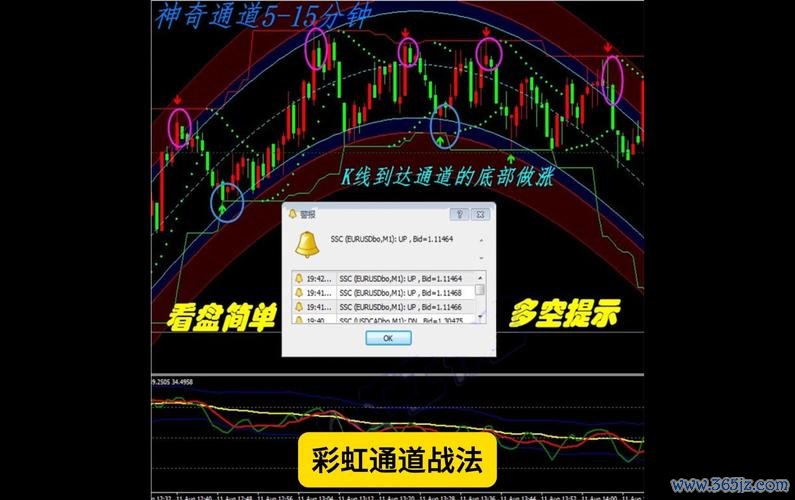 f80m3外匯—F80M3外匯交易系統解析與頂尖實戰策略