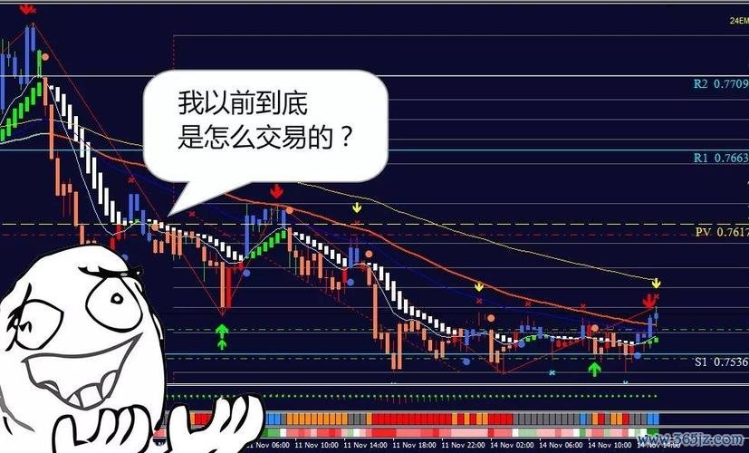 100張圖解外匯—100張圖解外匯：新手實戰技巧與盈利全攻略