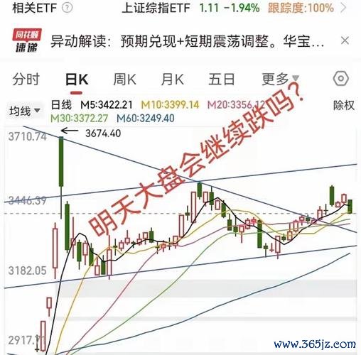 台灣大股票遇外資拋售潮台積電股價波動10% vs 台股指數走勢預測2025市場分析