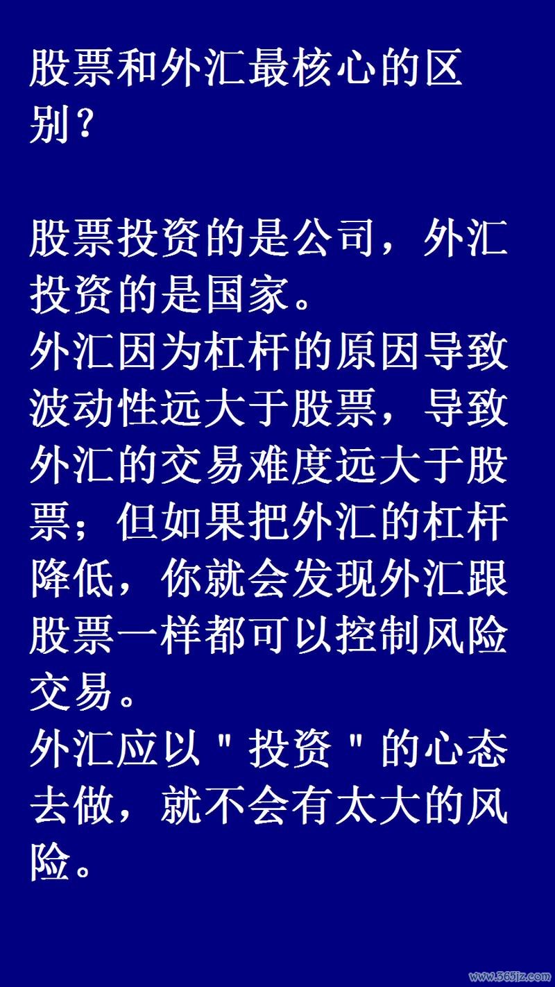 c43wagon外匯_C43Wagon外汇投资安全解析：高收益风险与机遇全揭秘