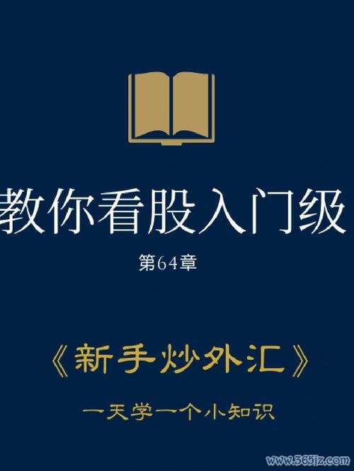 C43外汇投资避坑指南：三步策略实现稳定盈利