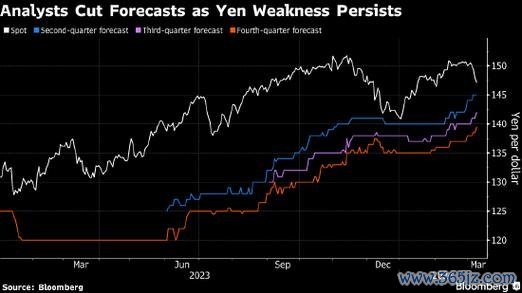 大魯閣股票投資風險解析2024股利分析報酬率比較與專家建議