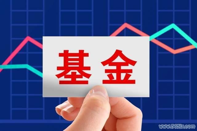 e43amg外匯投資者必看：2024避坑指南與高收益策略全解析  