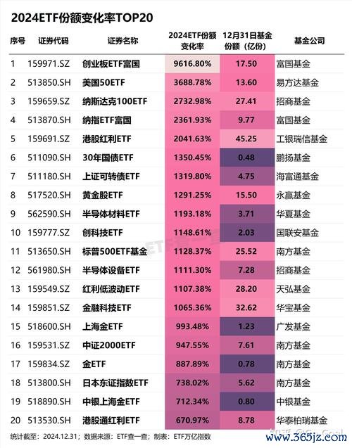 E53AMG外汇投资安全解析：2024避坑指南与高收益策略