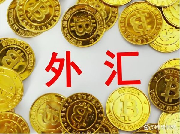 e外匯(e外匯+跨境资金流动挑战+参考汇率工具+企业风控效率提升