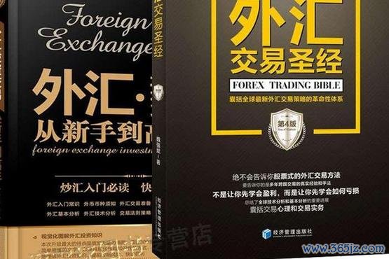 GLA45外汇投资新手指南：如何避开陷阱并实现稳定盈利？