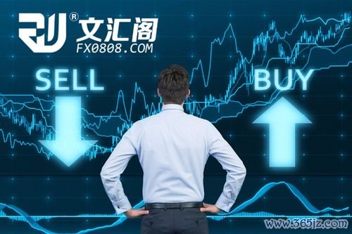 gle250外匯投资避坑指南：三步打造稳健高收益策略