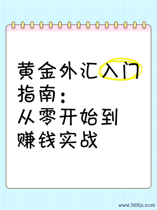 x6外匯車-x6外匯車购买难题？三步避坑攻略，新手省钱秘籍