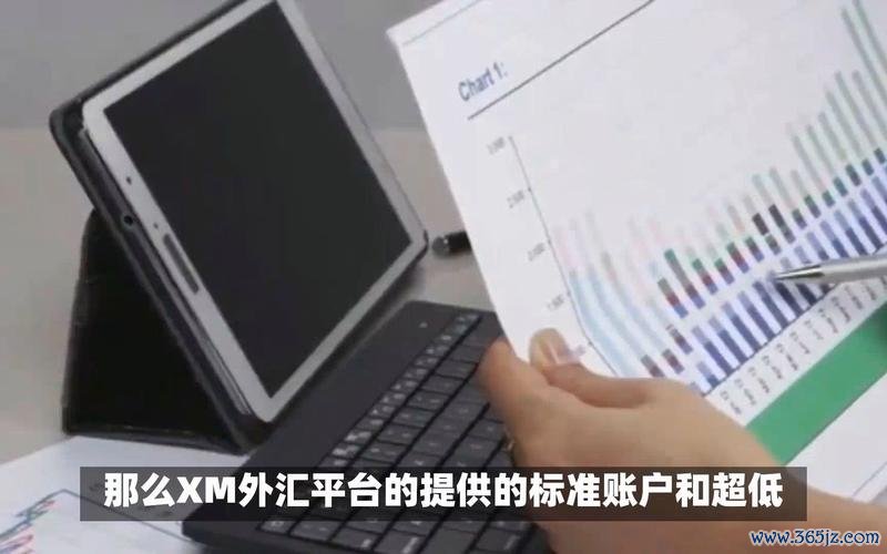 XM外汇账户选择指南：超低点差与标准账户对比解析