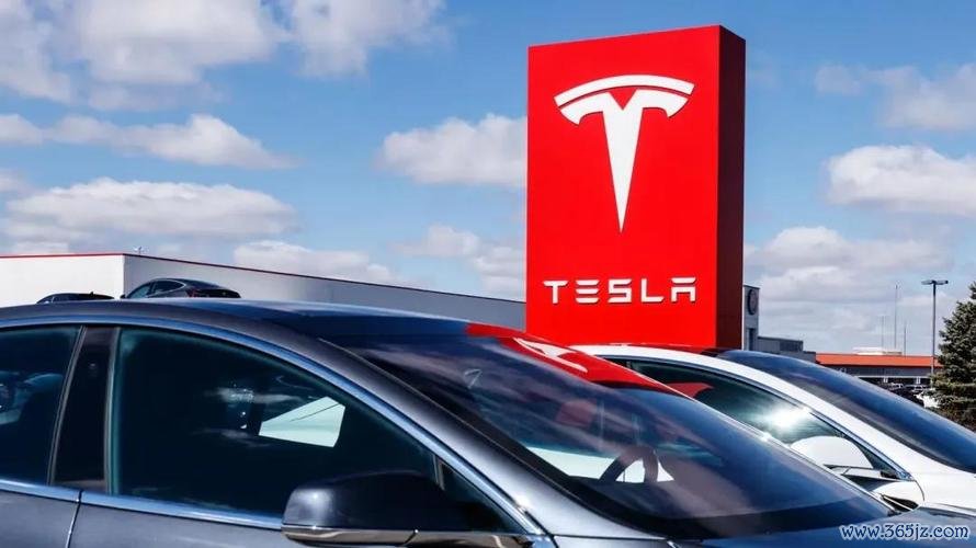 特斯拉股票暴跌后是抄底機會？空頭暴賺180億VS散戶80億逆襲2025華爾街分歧預警