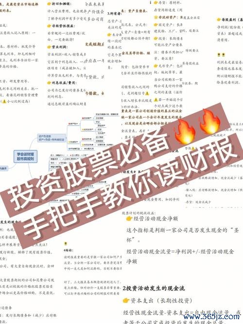 現金股利vs股票股利？2025台股投資必懂差異與策略財報解析