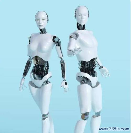 當日行情？弱市反彈策略＋海洋科技×人形機器人〔專家預測〕