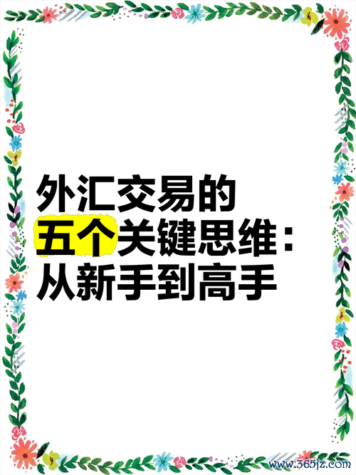 炒外汇是什么？新手入门必知（快速掌握核心概念）