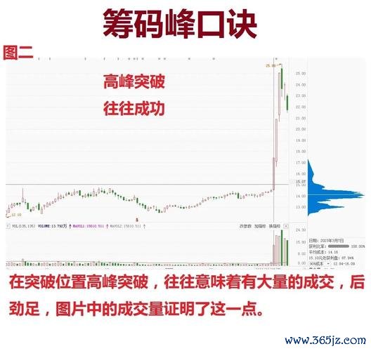 立端股票2024投資趨勢解析：法人動向與籌碼分析專家權威背書