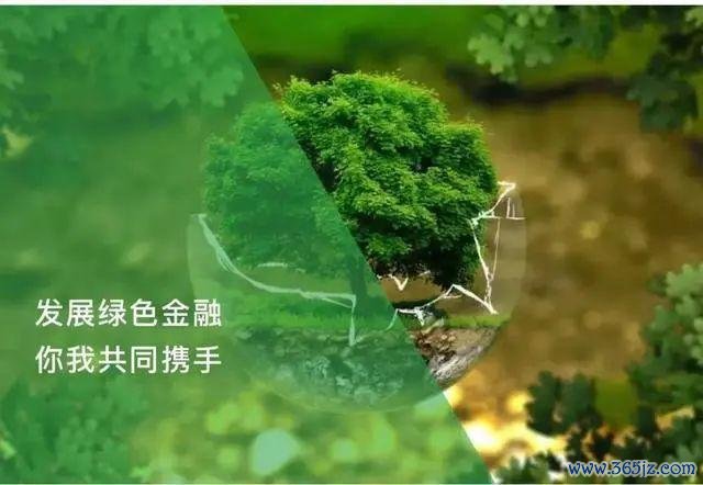 国泰世华外汇存款助力低碳转型 创新绿色金融解决方案