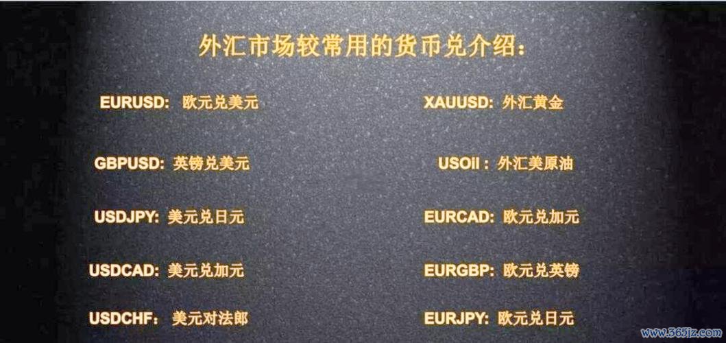 交易外汇新手必知术语与入门策略指南