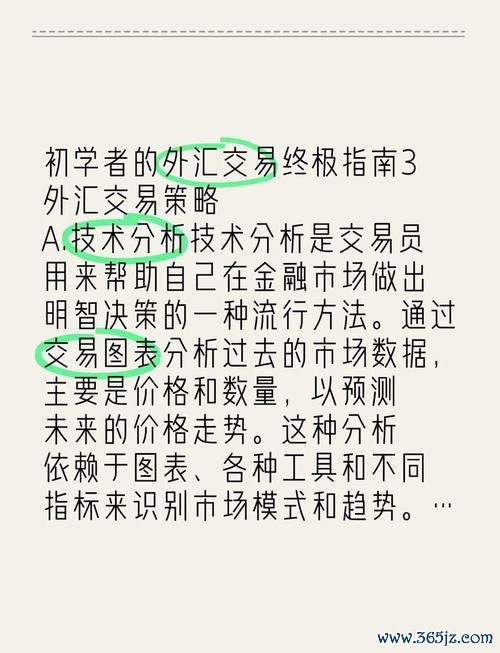 交易外汇新手必知术语与入门策略指南