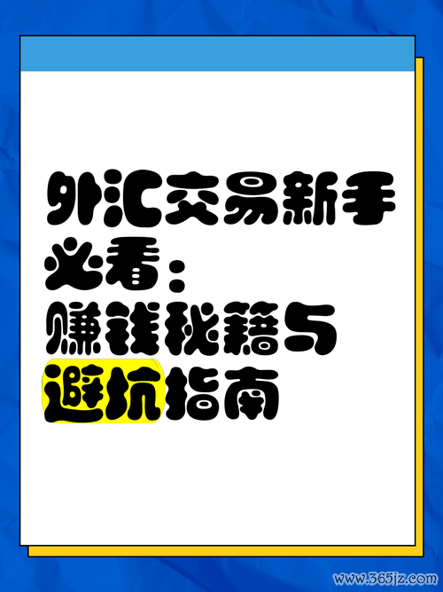 聚亨外匯安全投資攻略：新手避坑指南與資金保障解析