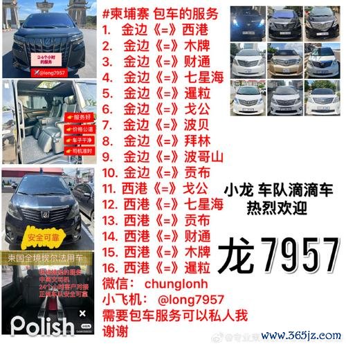 龍哥外匯車(龍哥外匯車：高性價比進口車選購痛點，獨家車源方案省30%預算)