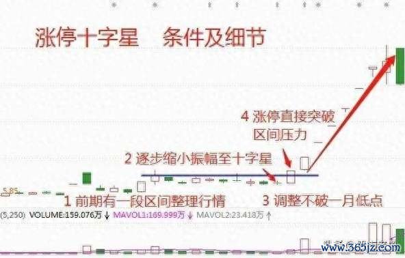 華城電機股票 川普政策推升外銷訂單飆破300億 2025年股價623元漲停預測台美電力合作