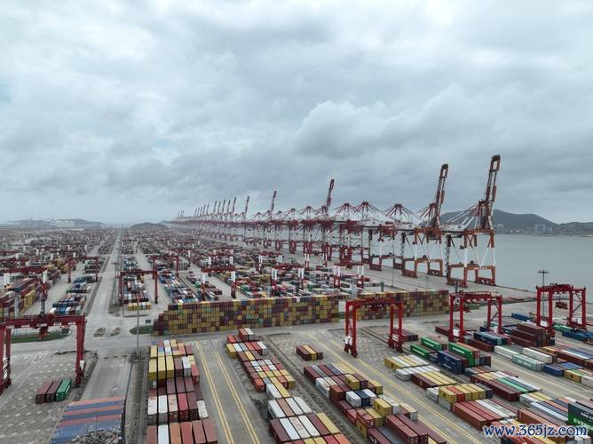 上海南港外貿車1月吞吐量破4.5萬輛 洋山邊檢數據揭58.6%增長
