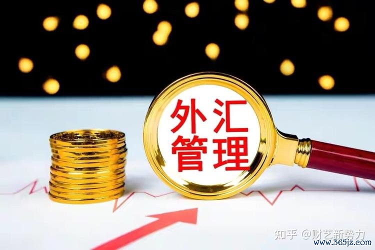 上海外汇理财子公司外币回购业务落地，高效闭环提升资金效率