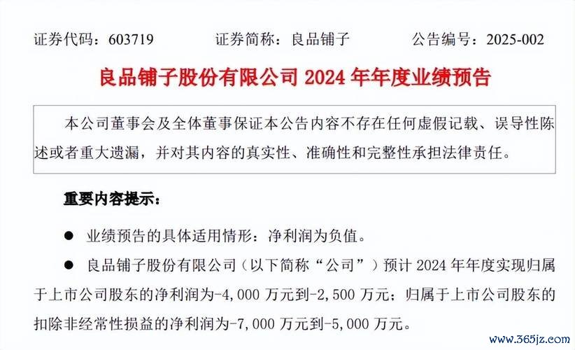 鴻碩股票算力合作告吹股價暴跌74%對比套現20億2024權威解析