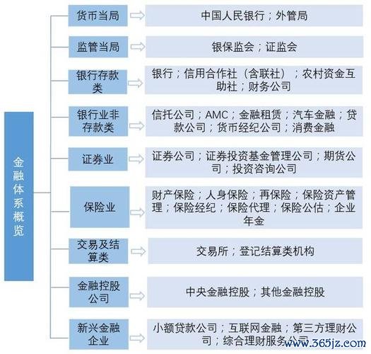 C300外汇价格波动解析 制造业真实案例数据 定制化风控方案